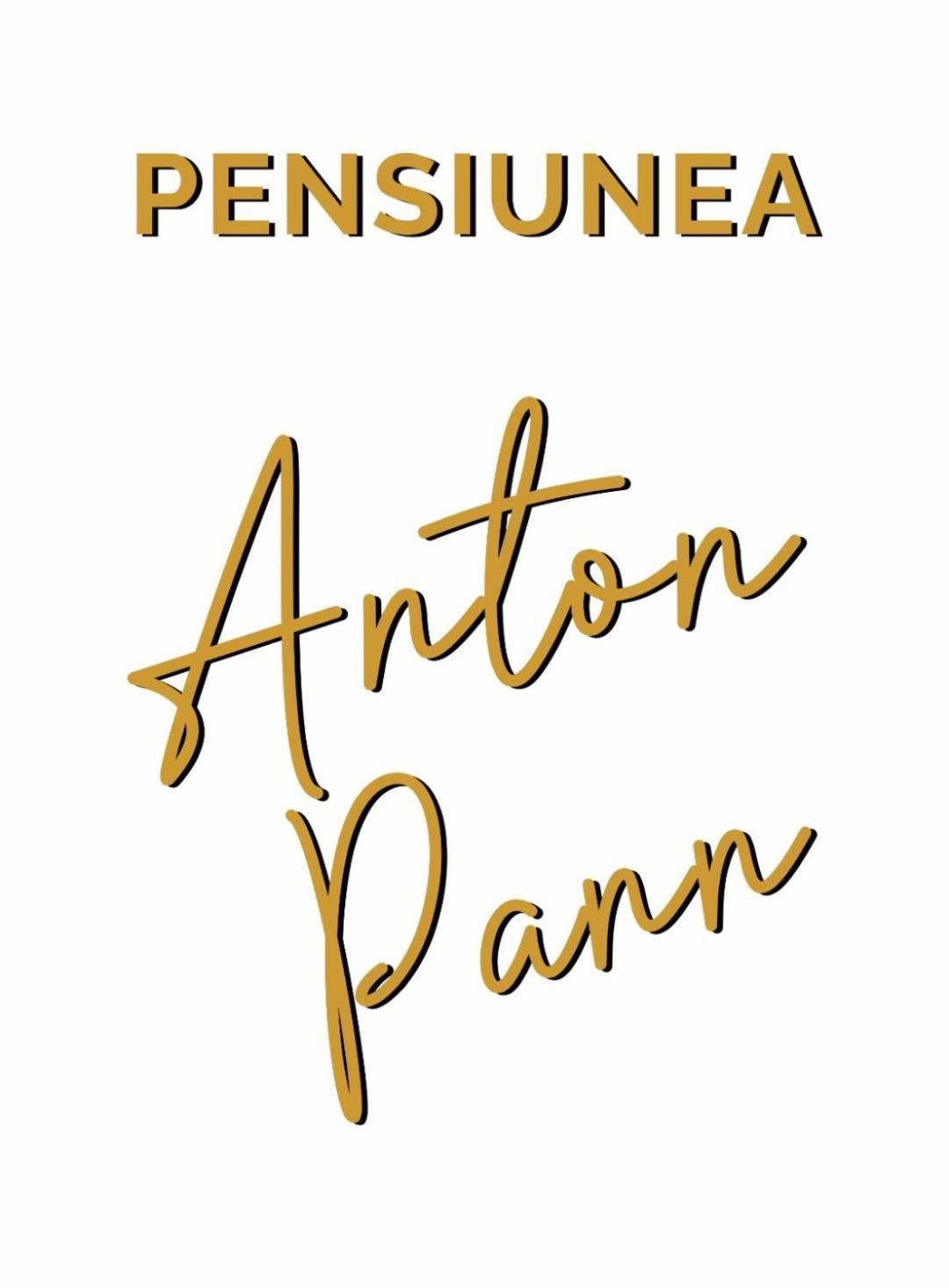 Pensiunea Anton Pann Sibiu Exterior photo